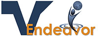 Vistex Endeavor
